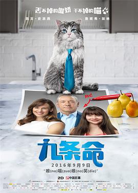 偶像的内衣