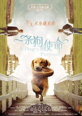 欧美性色高清生活片