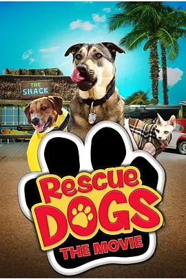 夜噜噜噜噜噜