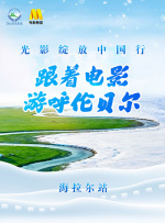 免费视频h