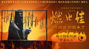 在线视频一区二区