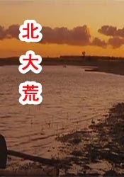 性欧美激情在线观看