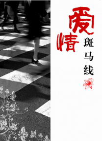 精品视频一区二区