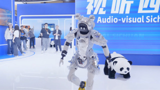 精品国产一区二区三区不卡在线